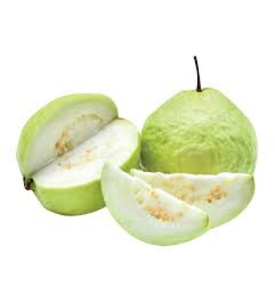 Test J Product
