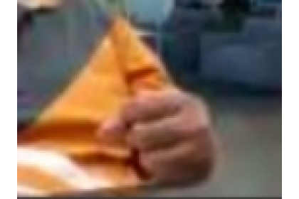 Lorem ipsum dolor sit amet, consectetur adipiscing elit. Sed mollis in sem ut posuere. Curabi Edita